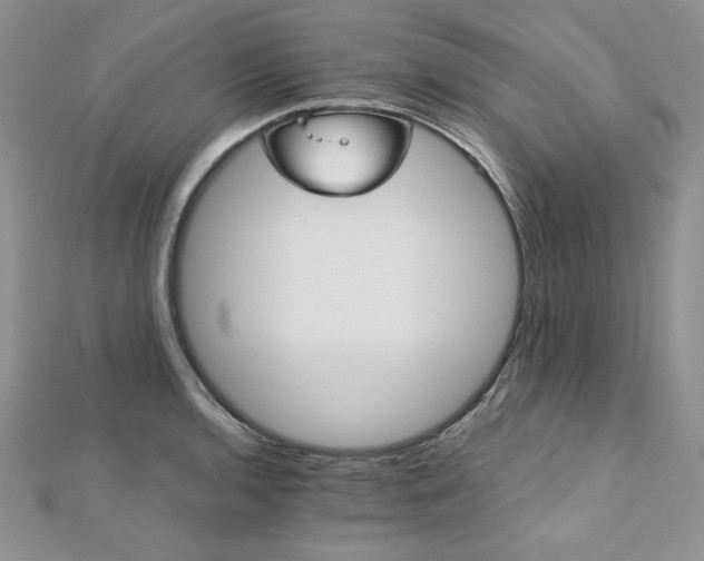 X0000113181136200909041338