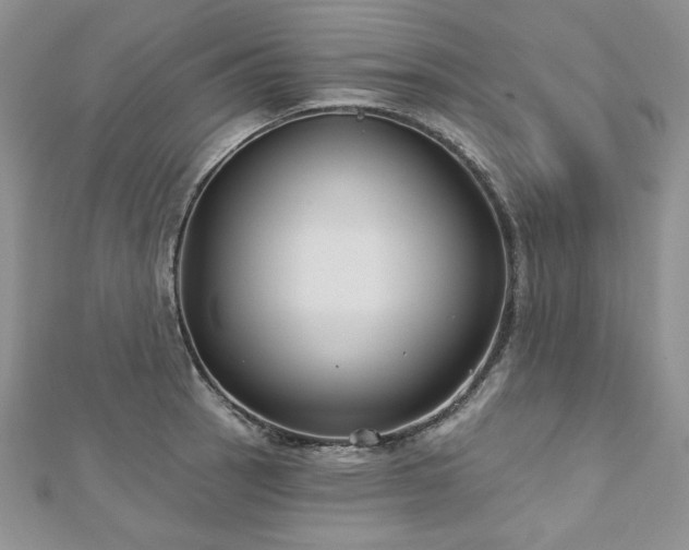 X0000113181137200909041338