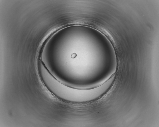 X0000113181138200909041338