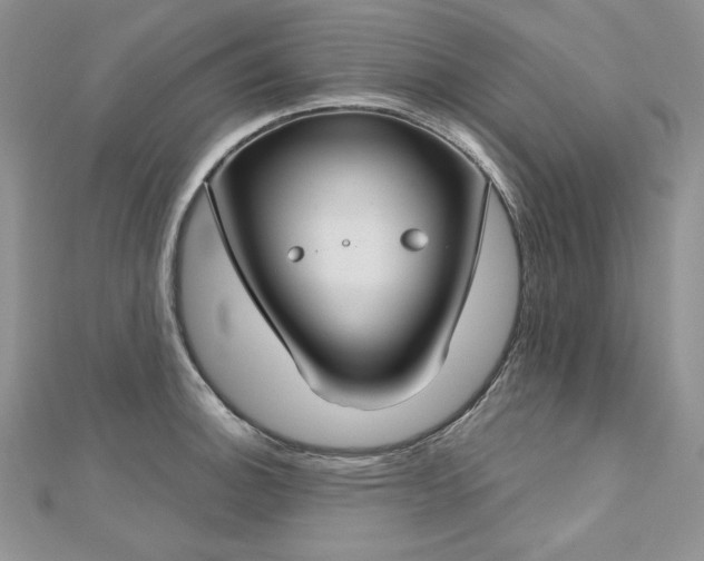 X0000113181140200909041338