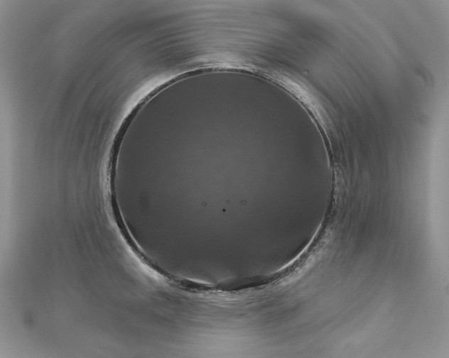 X0000113181141200909041338