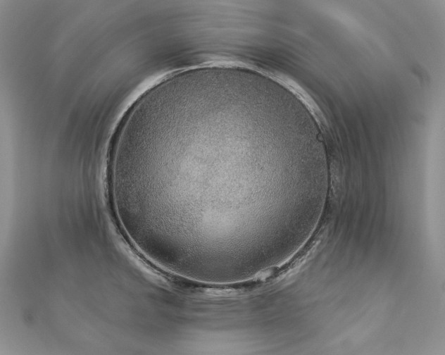 X0000113181142200909041338