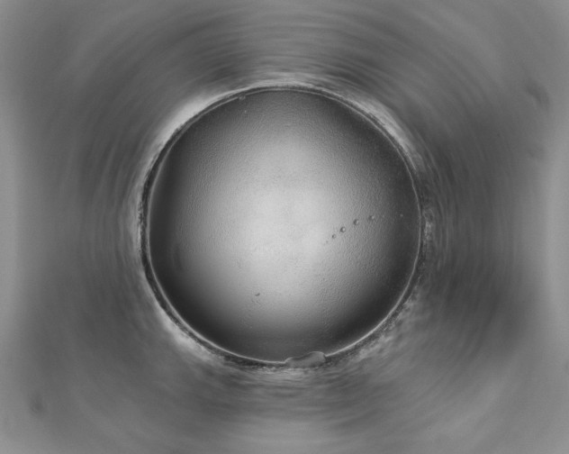 X0000113181143200909041338