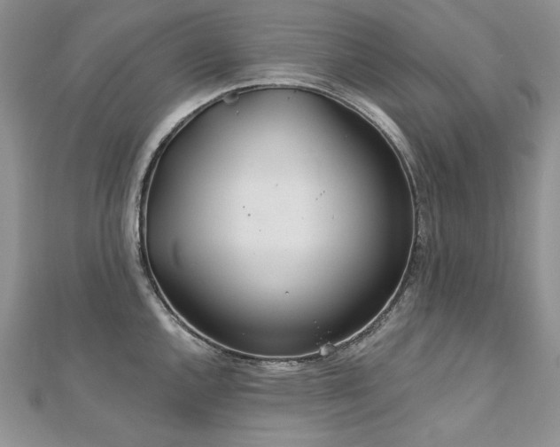 X0000113181144200909041338
