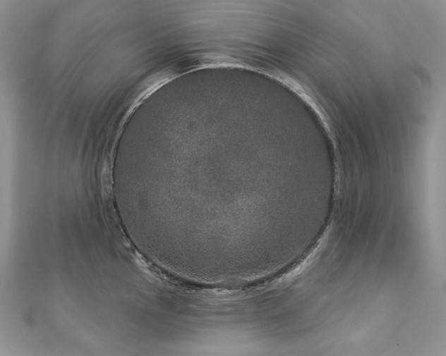 X0000113181145200909041338