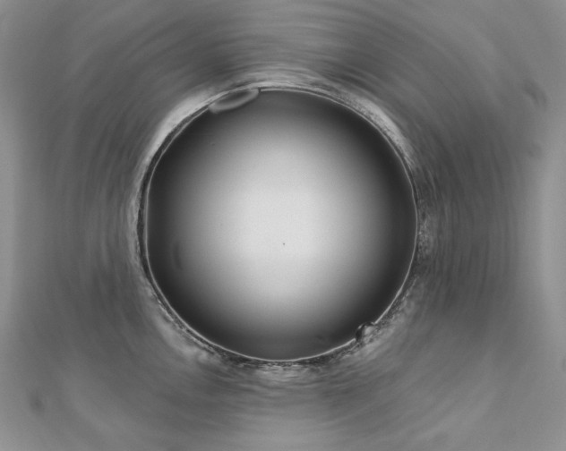X0000113181146200909041338