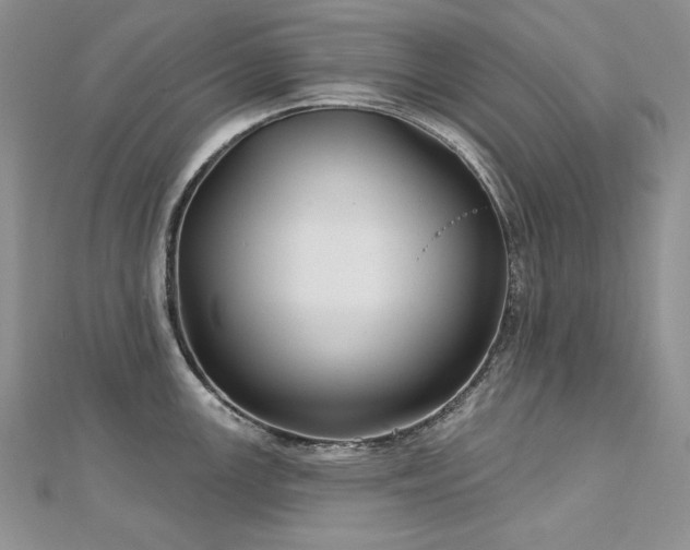X0000113181147200909041338