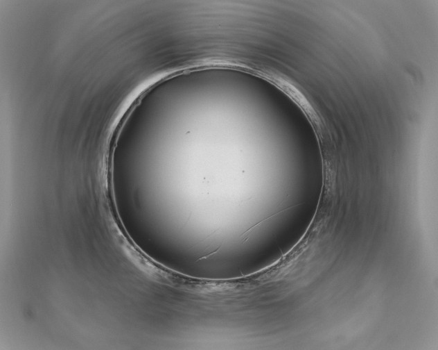 X0000113181148200909041338