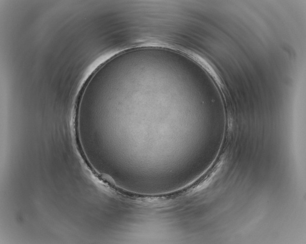 X0000113181149200909041338