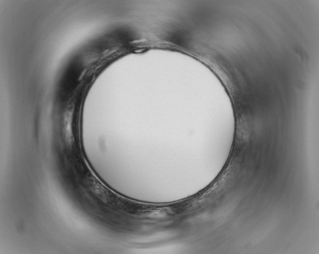 X0000113181150200909041338