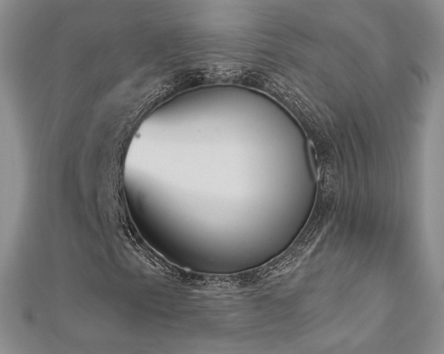 X0000113181153200909041337