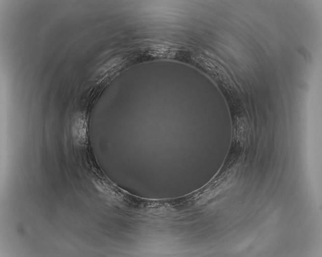 X0000113181154200909041337
