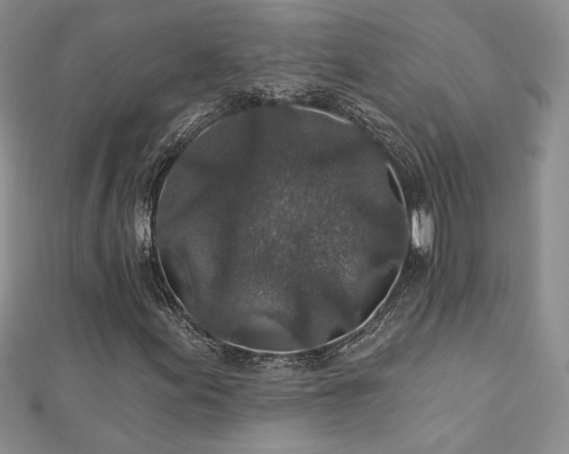 X0000113181155200909041337