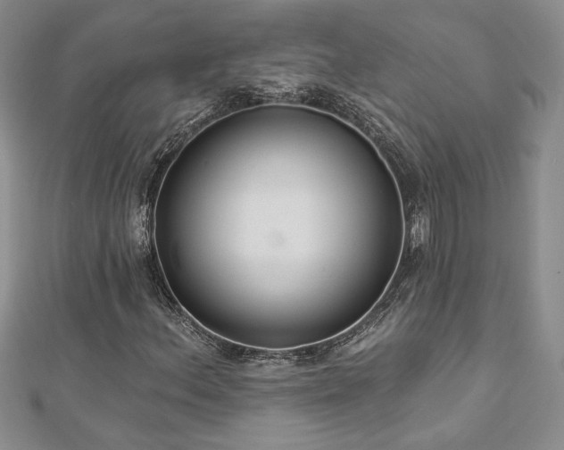 X0000113181156200909041337