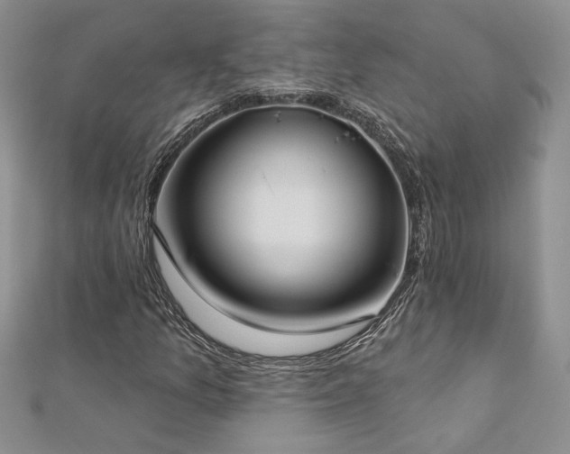X0000113181157200909041337