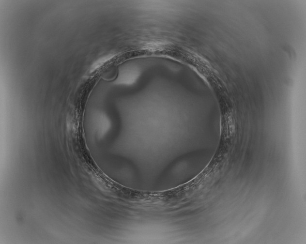 X0000113181158200909041337