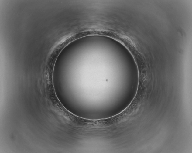 X0000113181159200909041337