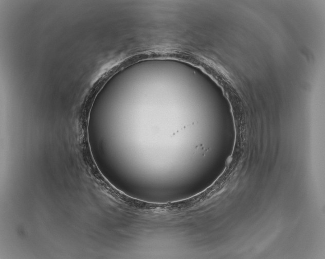 X0000113181160200909041337