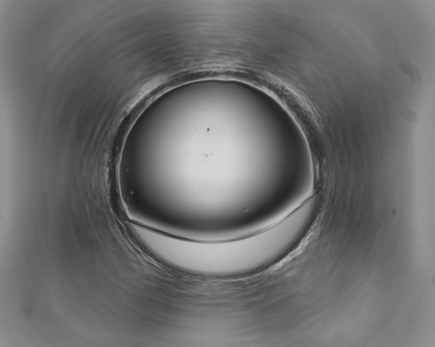 X0000113181162200909041337