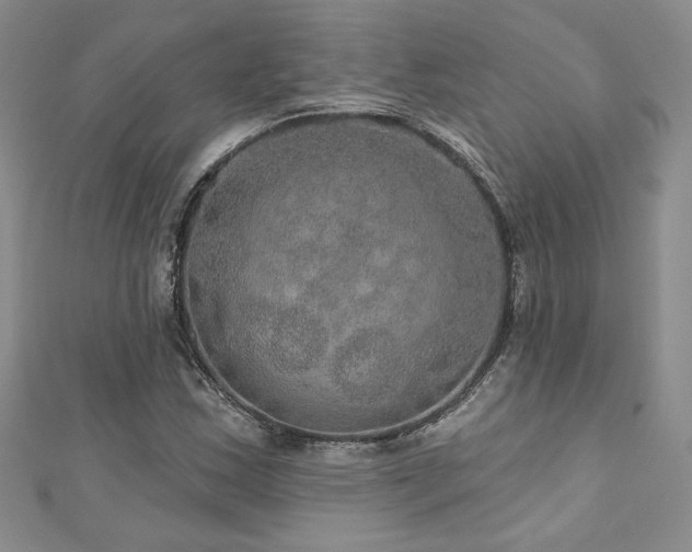 X0000113181163200909041337
