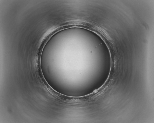 X0000113181164200909041337