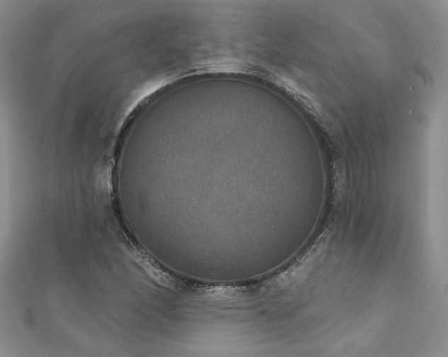 X0000113181166200909041337