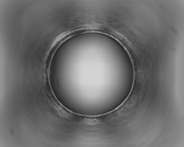 X0000113181168200909041337