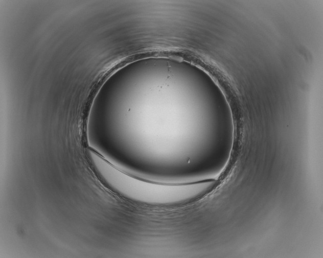 X0000113181169200909041337