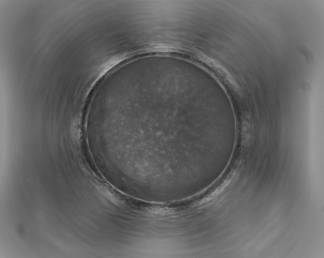 X0000113181170200909041337