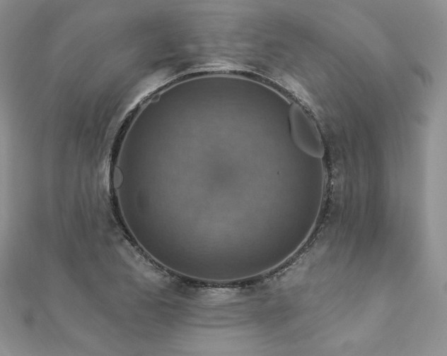 X0000113181173200909041337