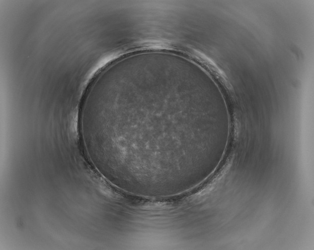 X0000113181174200909041337