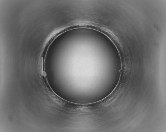 X0000113181175200909041337