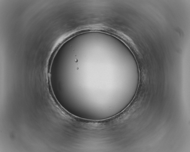 X0000113181176200909041337