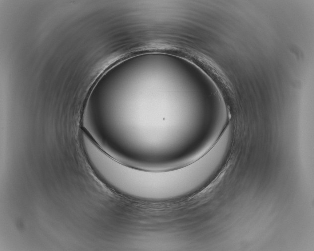 X0000113181177200909041337
