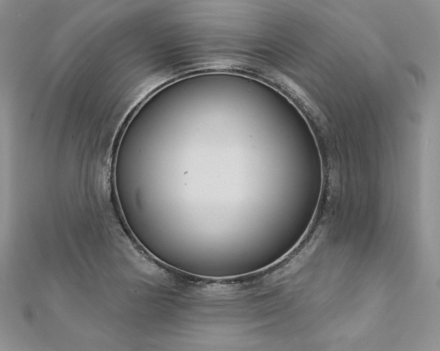 X0000113181178200909041337