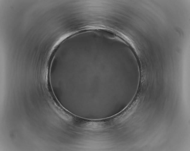 X0000113181179200909041337