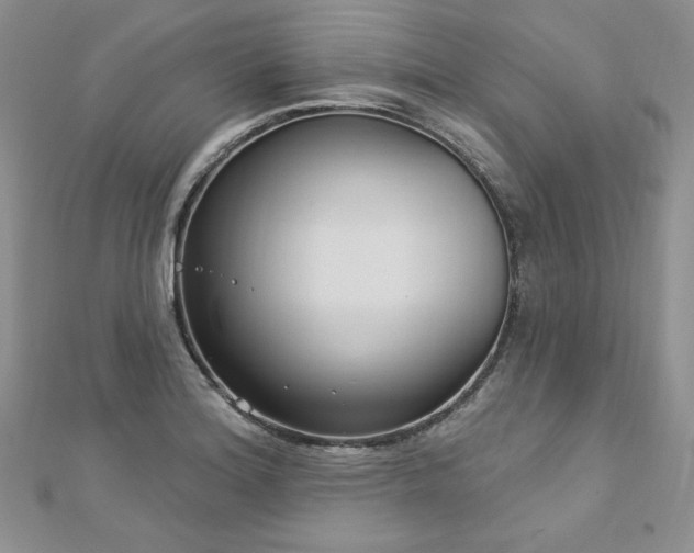 X0000113181180200909041337