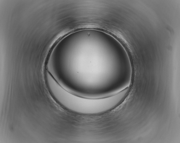 X0000113181181200909041337