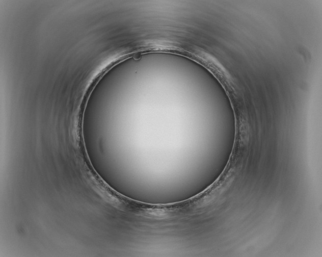 X0000113181182200909041337