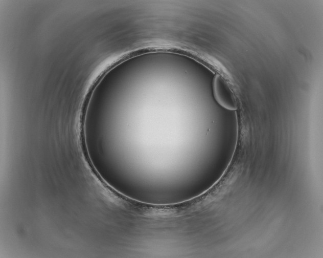 X0000113181183200909041337