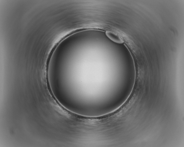 X0000113181184200909041337