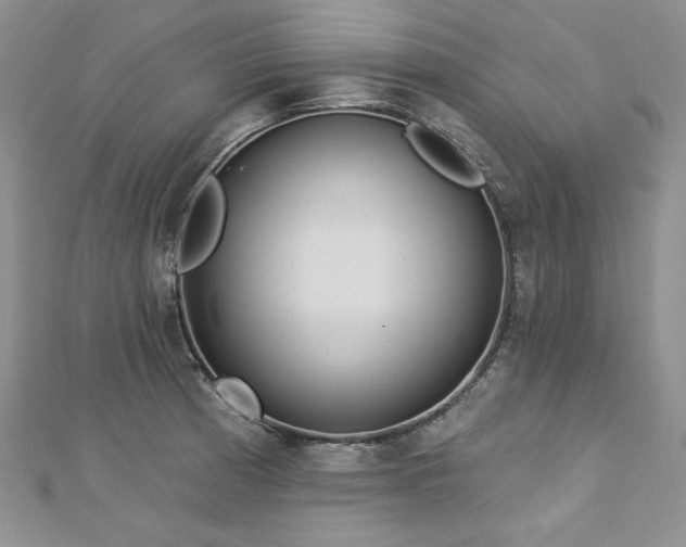 X0000113181185200909041337