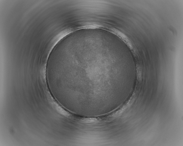 X0000113181186200909041337