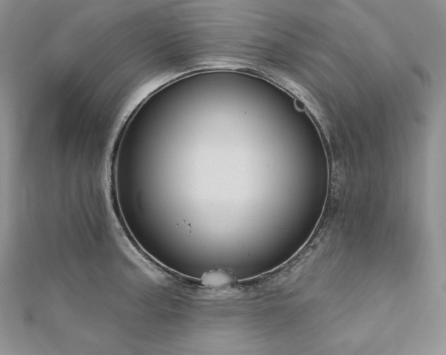 X0000113181187200909041337