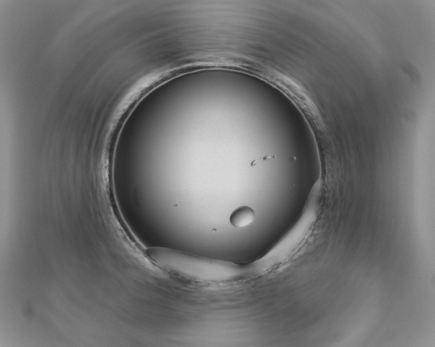 X0000113181188200909041337