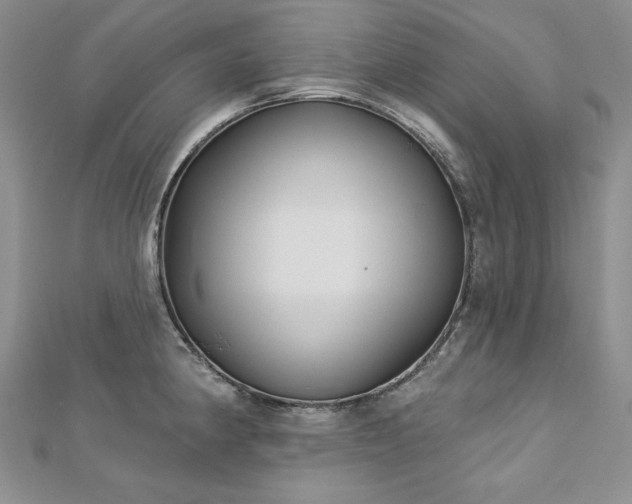 X0000113181190200909041337