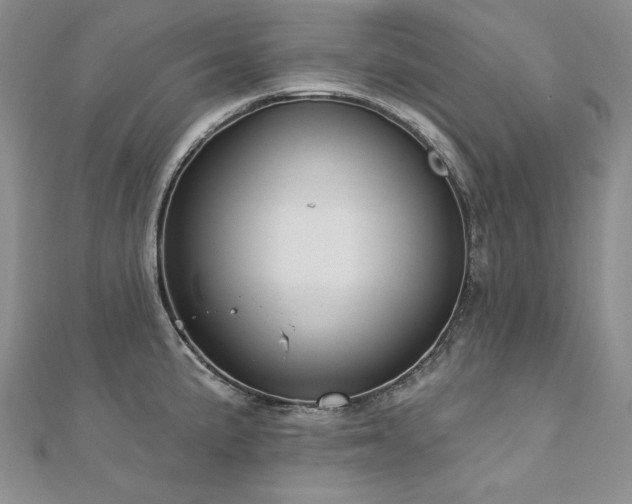 X0000113181191200909041336