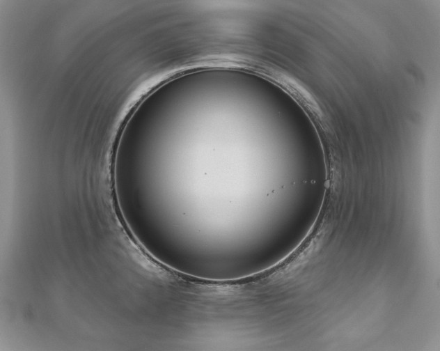 X0000113181192200909041336