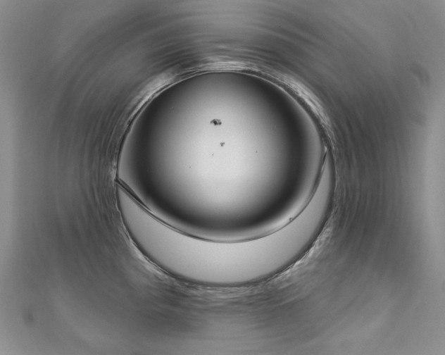 X0000113181193200909041336