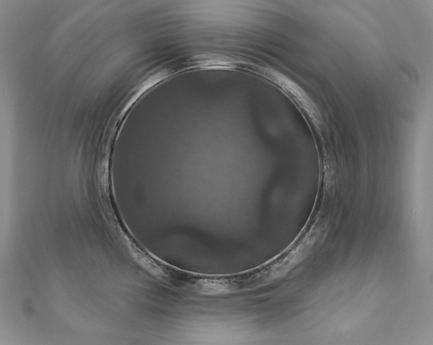 X0000113181194200909041336
